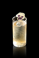 Chomomile citrus 